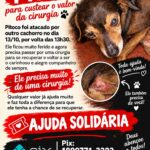 AJUDA SOLIDÁRIA: APOIE ESTA CAUSA